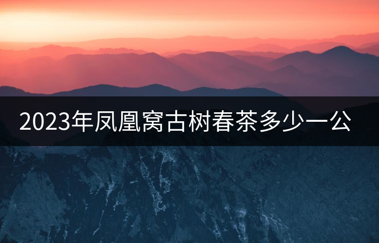 2023年鳳凰窩古樹春茶多少一公斤？