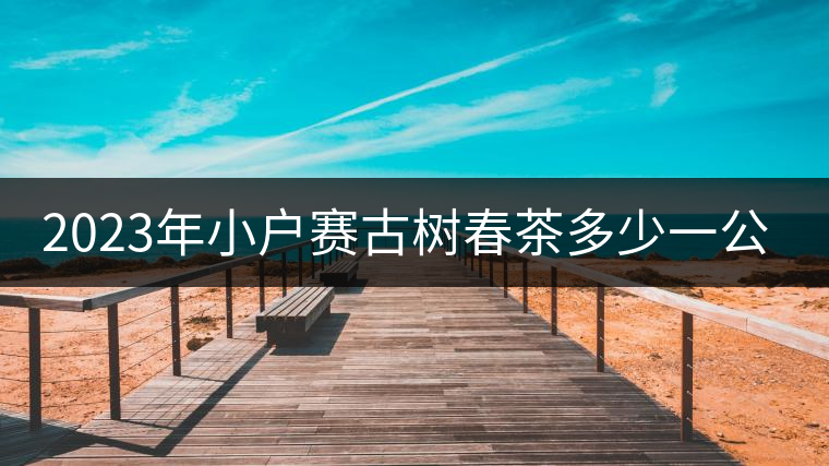 2023年小戶賽古樹春茶多少一公斤？