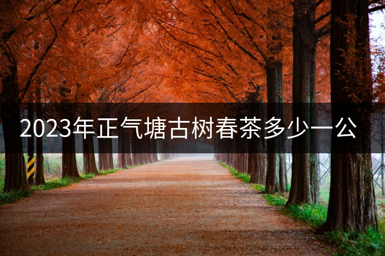 2023年正氣塘古樹春茶多少一公斤？