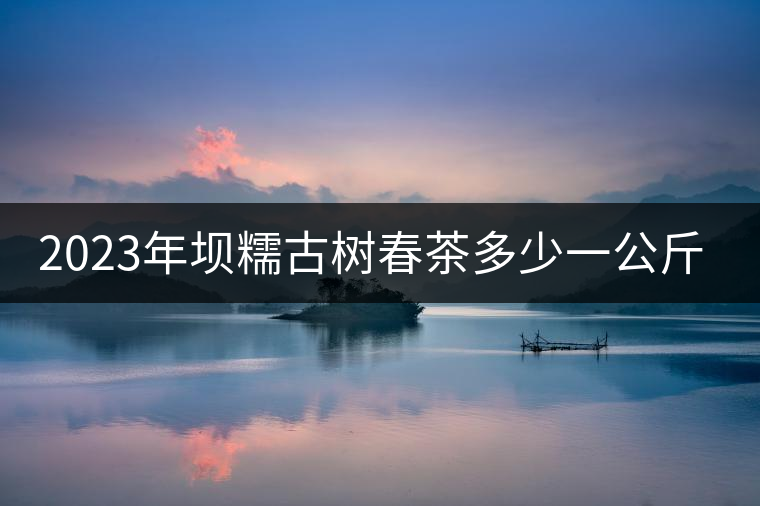 2023年壩糯古樹(shù)春茶多少一公斤？