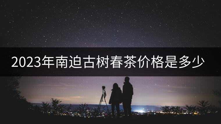 2023年南迫古樹(shù)春茶價(jià)格是多少？
