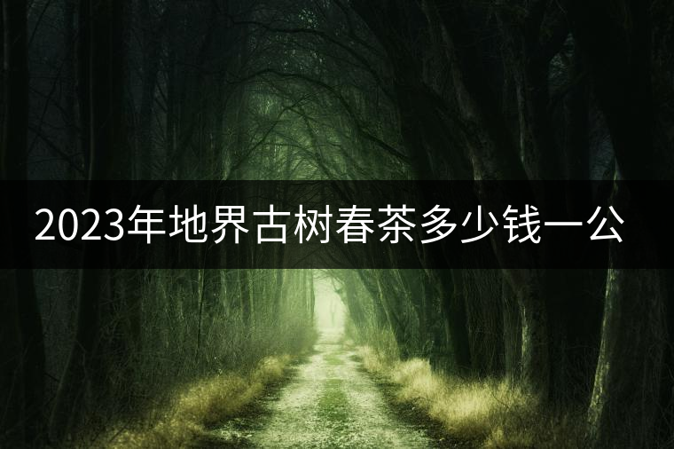 2023年地界古樹春茶多少錢一公斤？