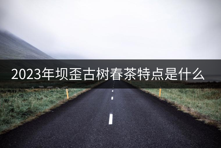 2023年壩歪古樹春茶特點是什么？