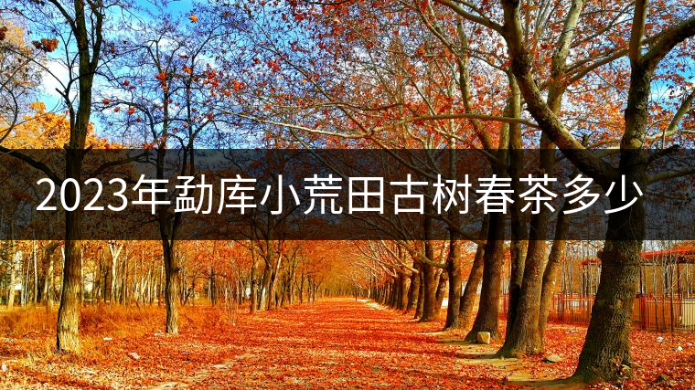 2023年勐庫小荒田古樹春茶多少一公斤？