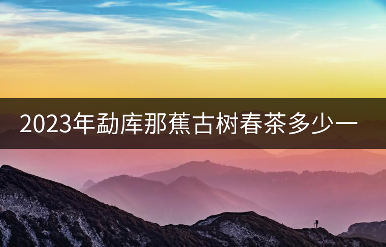 2023年勐庫那蕉古樹春茶多少一公斤？