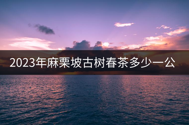 2023年麻栗坡古樹(shù)春茶多少一公斤？