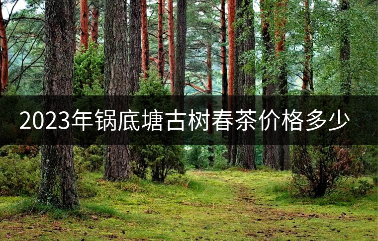 2023年鍋底塘古樹春茶價格多少? 2023年鍋底塘古樹春茶價格多少?