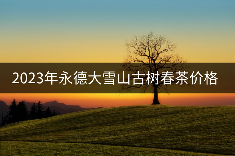 2023年永德大雪山古樹春茶價格是多少？