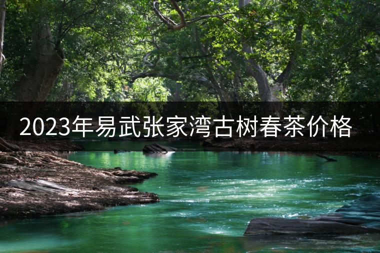 2023年易武張家灣古樹春茶價格是多少？