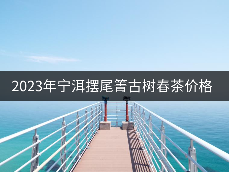 2023年寧洱擺尾箐古樹春茶價(jià)格是多少？