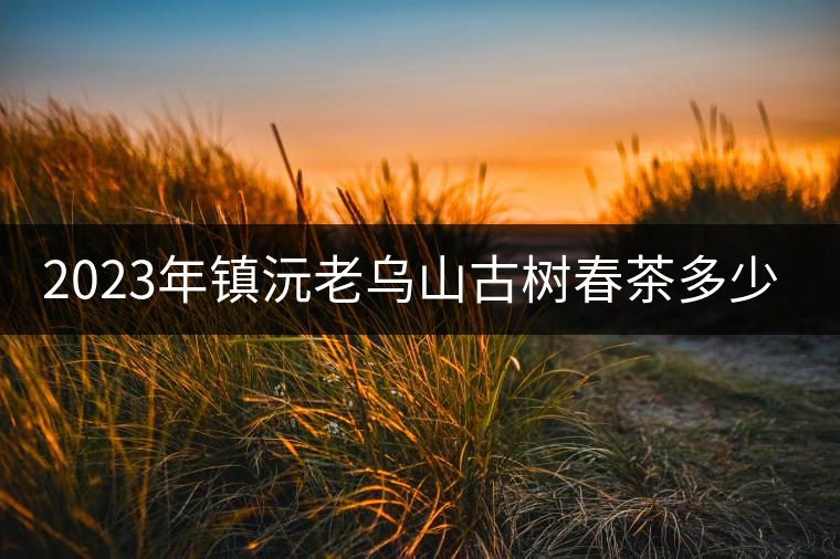 2023年鎮(zhèn)沅老烏山古樹春茶多少一公斤？