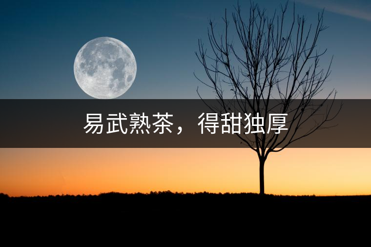 易武熟茶，得甜獨(dú)厚