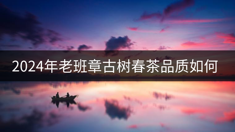 2024年老班章古樹春茶品質(zhì)如何？