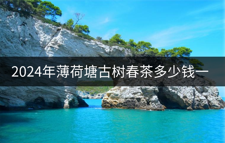 2024年薄荷塘古樹春茶多少錢一公斤？