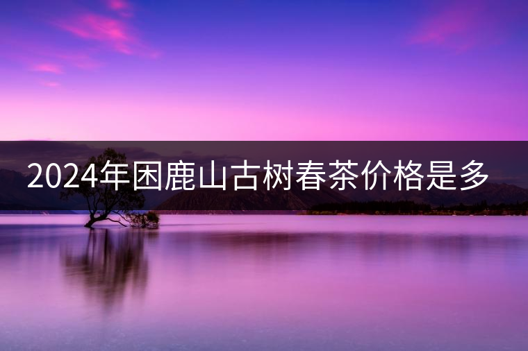 2024年困鹿山古樹春茶價格是多少？