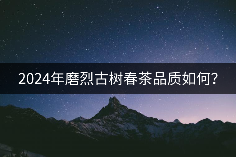 2024年磨烈古樹(shù)春茶品質(zhì)如何？