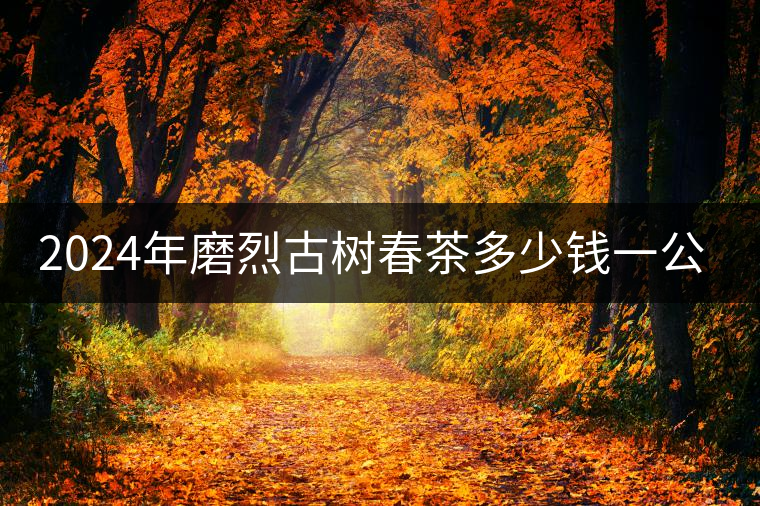 2024年磨烈古樹春茶多少錢一公斤？