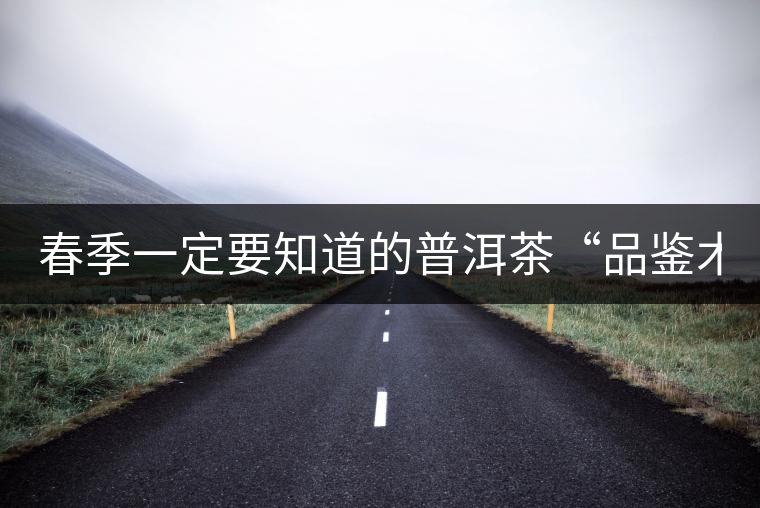 春季一定要知道的普洱茶“品鑒術(shù)語”