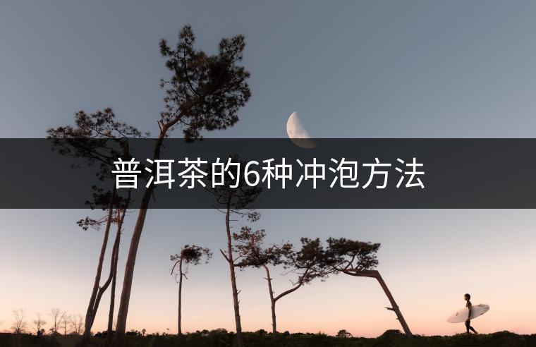 普洱茶的6種沖泡方法