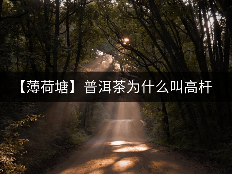 【薄荷塘】普洱茶為什么叫高桿茶？
