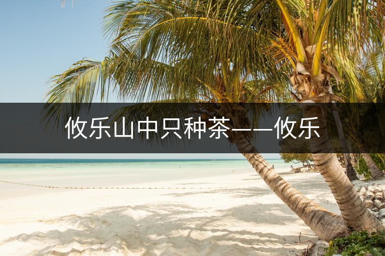 攸樂山中只種茶——攸樂
