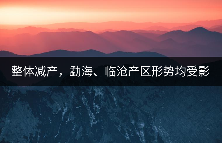 整體減產(chǎn)，勐海、臨滄產(chǎn)區(qū)形勢(shì)均受影響