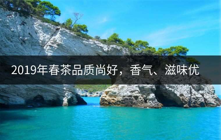 2019年春茶品質(zhì)尚好，香氣、滋味優(yōu)于去年