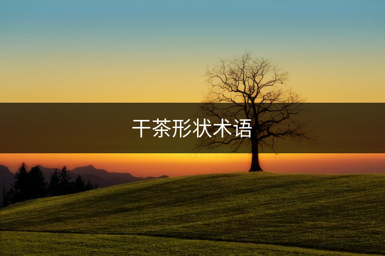 干茶形狀術語