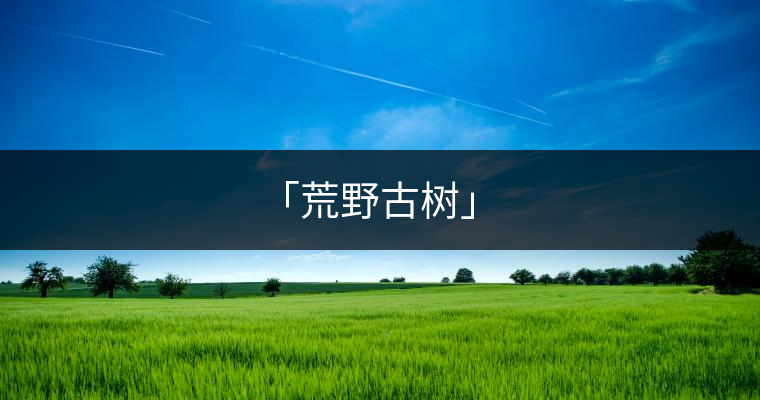「荒野古樹」