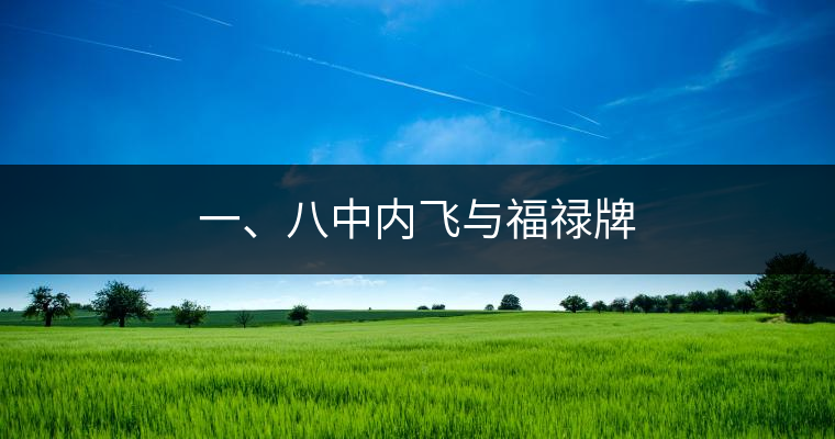 一、八中內(nèi)飛與福祿牌