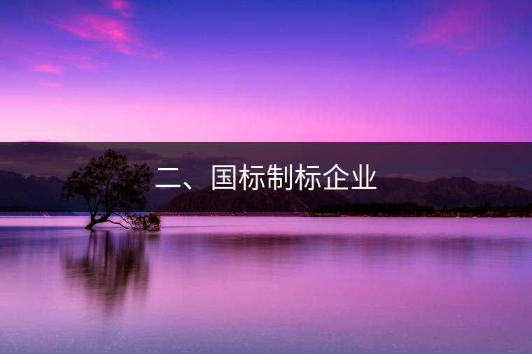 二、國標制標企業(yè)