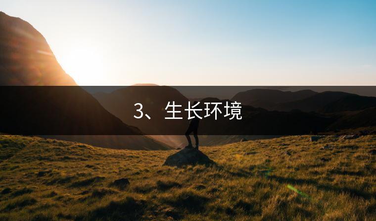 3、生長環(huán)境