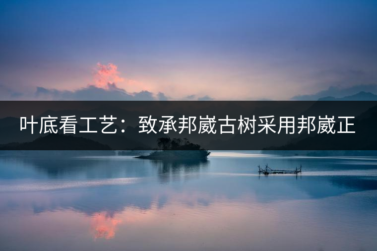 葉底看工藝：致承邦崴古樹采用邦崴正山三百至五百年古茶樹頭春鮮葉。經(jīng)手工殺青，石墨壓制，餅型周正，嚴守傳統(tǒng)工藝；葉底鮮活，幾乎無糊點，前期殺青較輕，這樣更利于后期轉(zhuǎn)化。