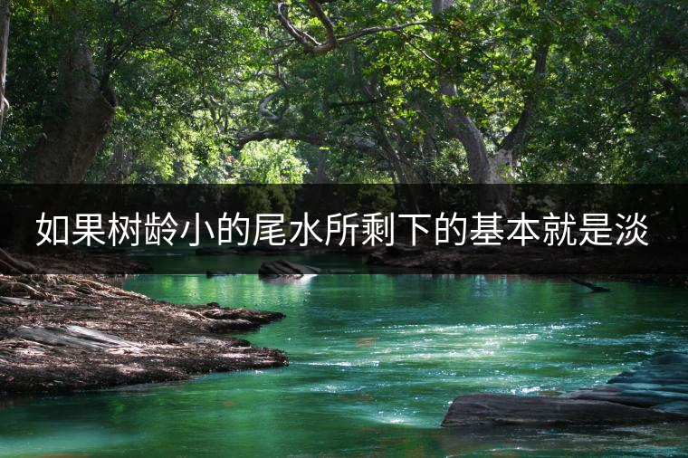 如果樹齡小的尾水所剩下的基本就是淡，苦，澀，而樹齡大的尾水融合度高，內(nèi)含物質(zhì)豐富，而且蜜甜度湯稠度也比較好。