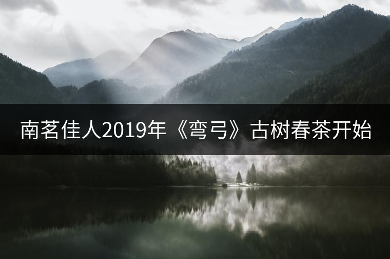 南茗佳人2019年《彎弓》古樹春茶開始預(yù)售啦！
