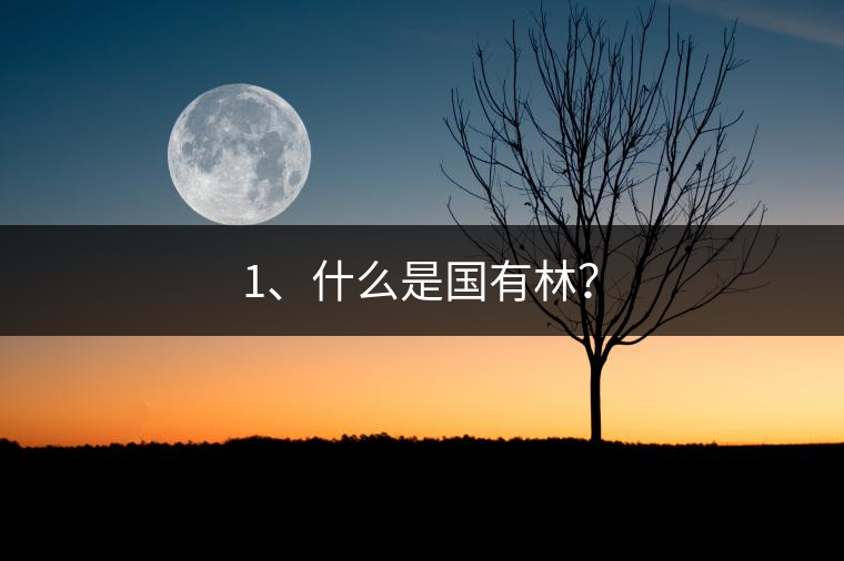 1、什么是國(guó)有林？