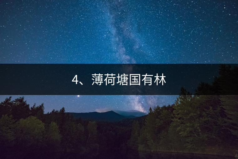 4、薄荷塘國(guó)有林