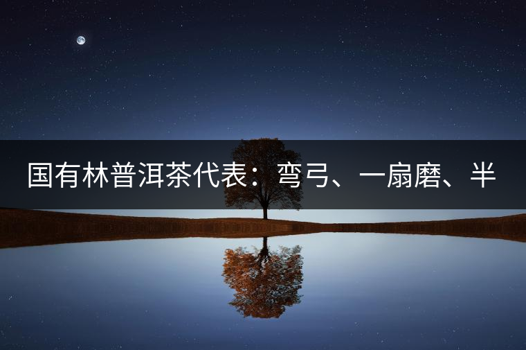 國有林普洱茶代表：彎弓、一扇磨、半坡老寨