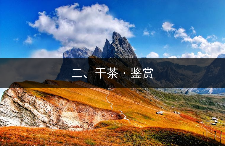 二、干茶 · 鑒賞