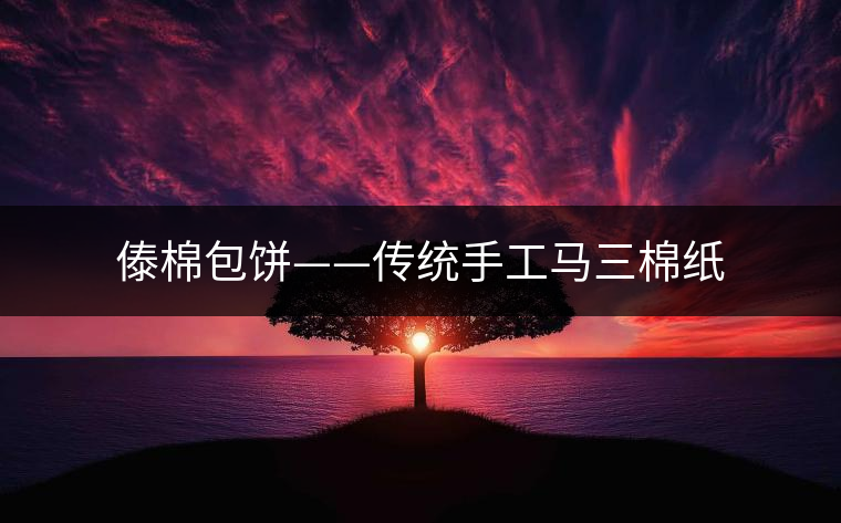 傣棉包餅——傳統(tǒng)手工馬三棉紙
