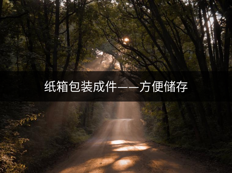 紙箱包裝成件——方便儲存