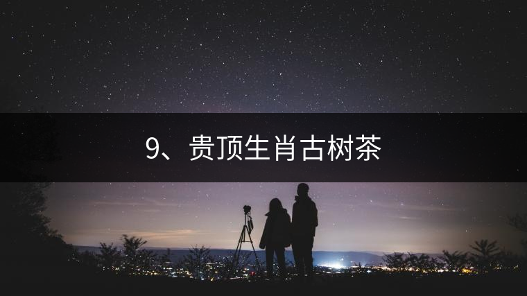 9、貴頂生肖古樹茶