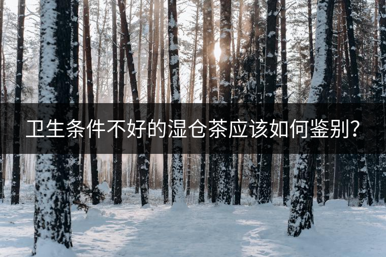 衛(wèi)生條件不好的濕倉茶應該如何鑒別？