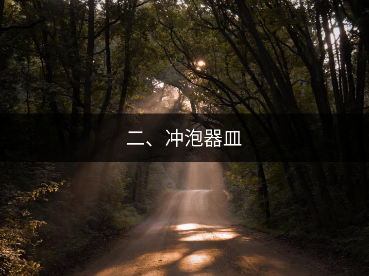 二、沖泡器皿