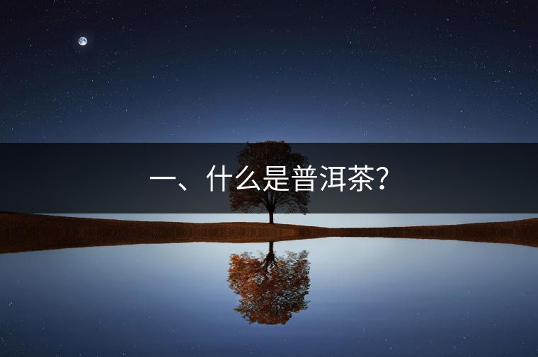一、什么是普洱茶？