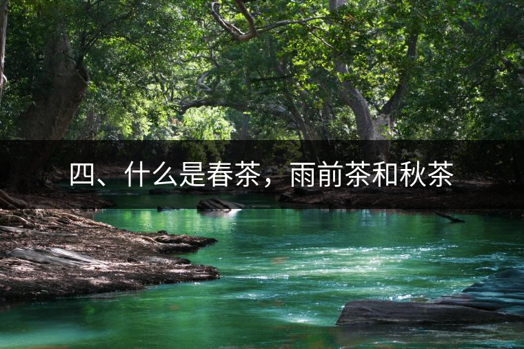 四、什么是春茶，雨前茶和秋茶