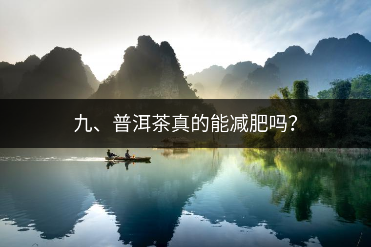 九、普洱茶真的能減肥嗎？