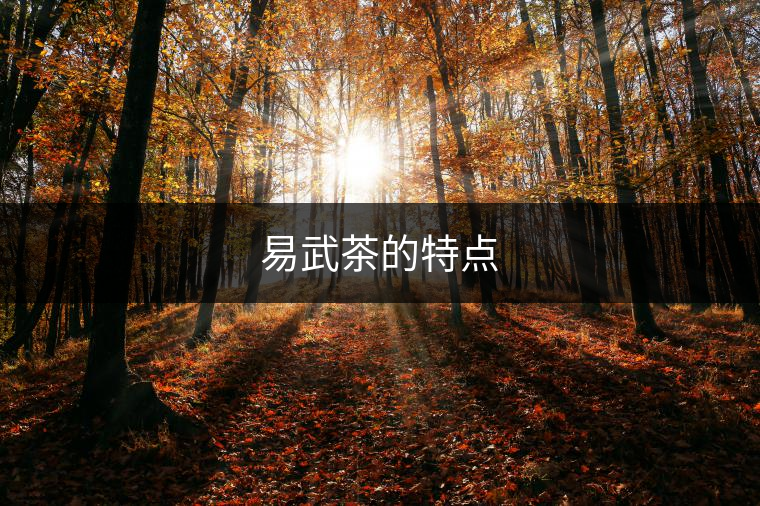 易武茶的特點(diǎn)