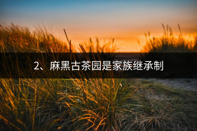 2、麻黑古茶園是家族繼承制