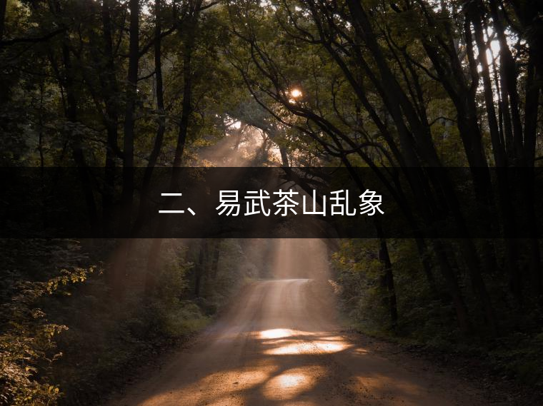 二、易武茶山亂象